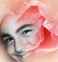 rosa rosa
