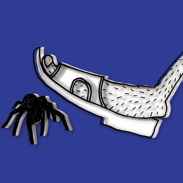 pisararaña