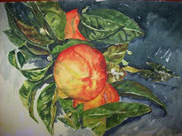 Naranjas