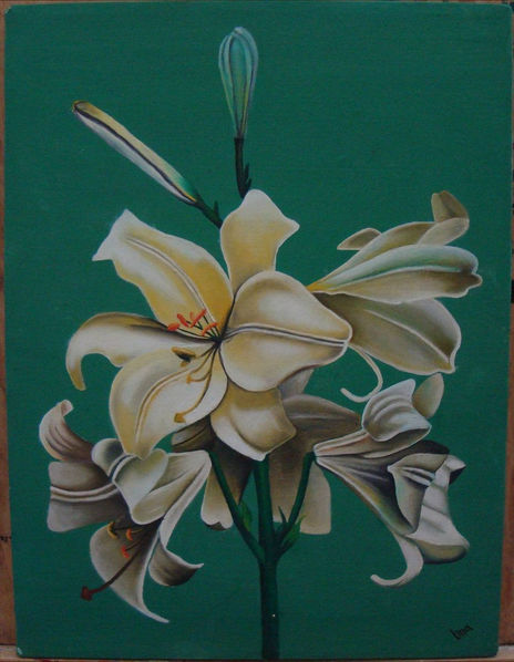 Flores