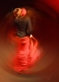 Flamenco in red