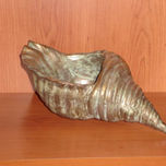 mi coleccion thumbnail 2