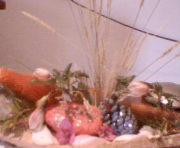 ikebana sobre teja vieja
