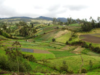 Paisaje Rural de...