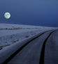camino con luna