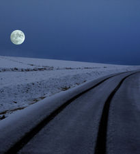 Camino con luna