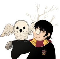 Harry & Hedwig