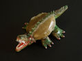 caiman