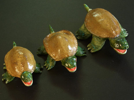 Familia tortuga