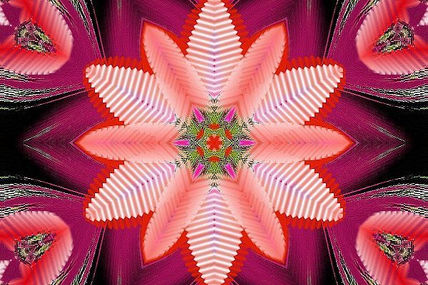 020