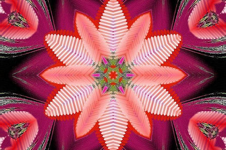 020