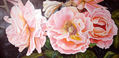 Rosas