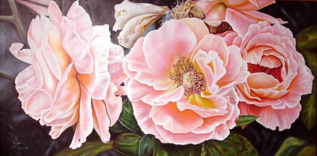 Rosas