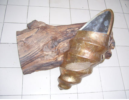 "panamazonia"