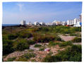 noman's land