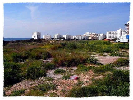 Noman's land