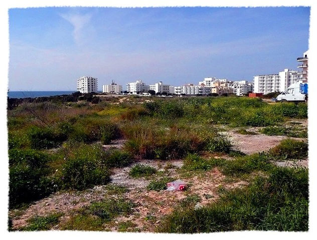 noman's land