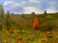campo
