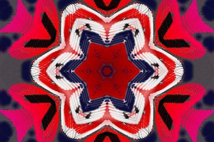 Rojo