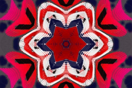 Rojo