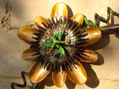 mburucuya
