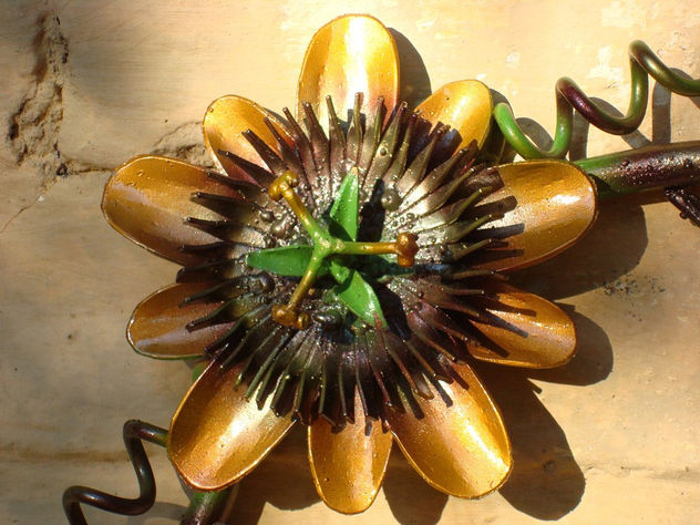 mburucuya