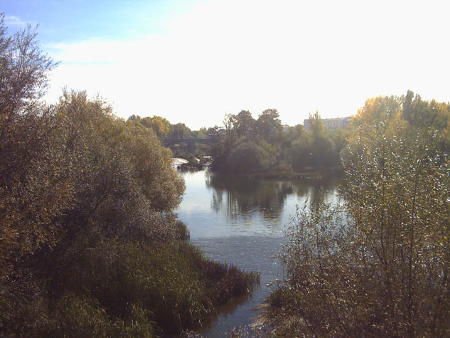 Río Tormes Naturaleza Color (Digital)