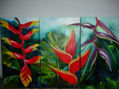 HELICONIAS
