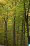otoño