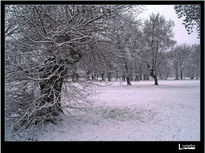 Nevada en el parque