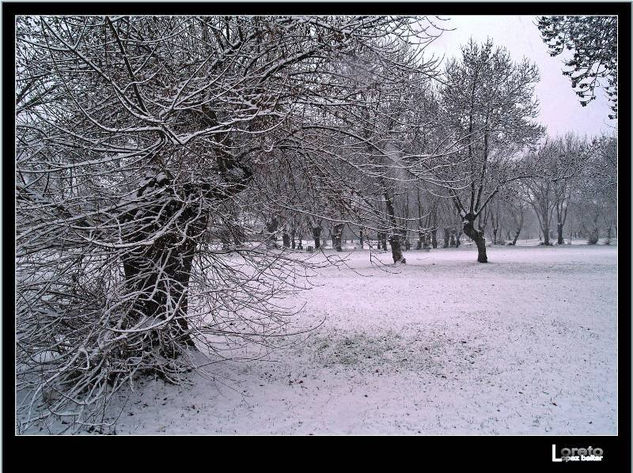 Nevada en el parque 