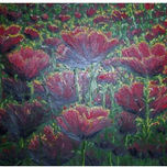 FLORES thumbnail 1