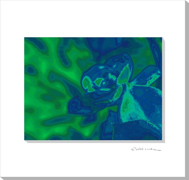 flor verde