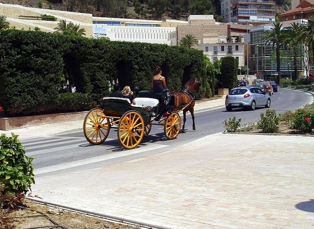 Málaga coche de caballos