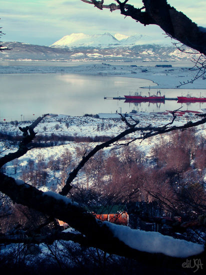 Canal de Beagle y Bahía de Ushuaia Nature Color (Digital)