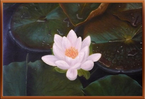 Nenufar Oil Canvas Floral Painting