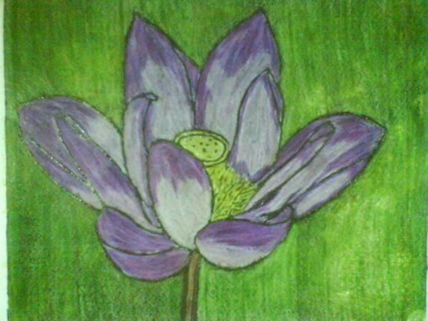 Flor de loto