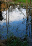 Serie agua