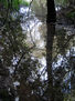Serie agua