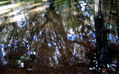 Serie agua