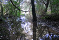 Serie agua