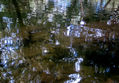 Serie agua
