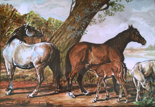 caballos