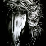 Coleccion Caballos 2009-2010 thumbnail 1