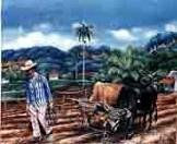 Guajiro Oil Canvas Landscaping