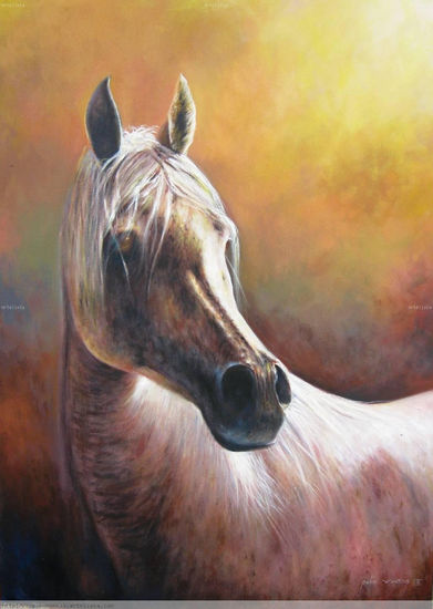 caballos de la sabana Oil Canvas Landscaping