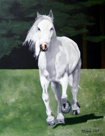 Ein Pferd Acrylic Canvas Animals