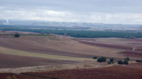 Pesquera de Duero...