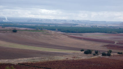 Pesquera de Duero...