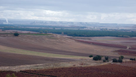 Pesquera de Duero...